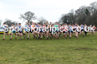 Junior mens Northern Cross Country Champs., Camp Hill Estate, Kirklington.  Photo: David T. Hewitson/Sports for All Pics